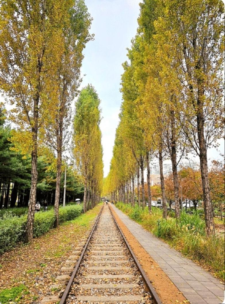 Gyeongchun Line Forest Private House